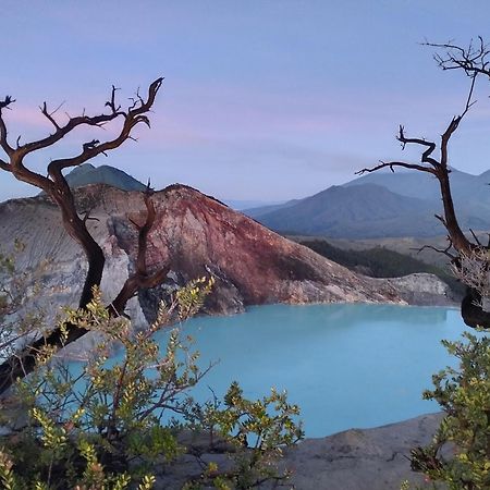 Nio Homestay And Tour Licin Buitenkant foto